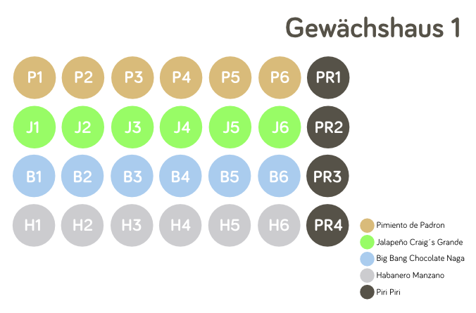 Gewächshausplan 1 - 2014
