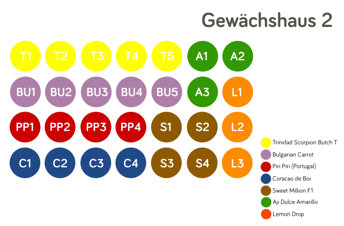 Gewächshausplan 2 – 2014