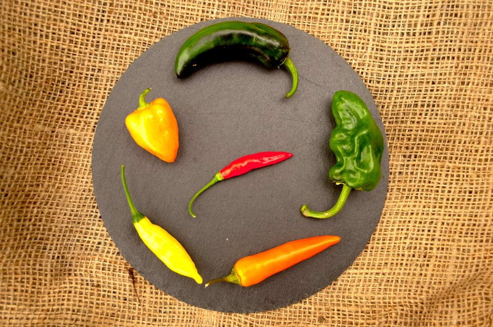 Die Erntezeit beginnt!